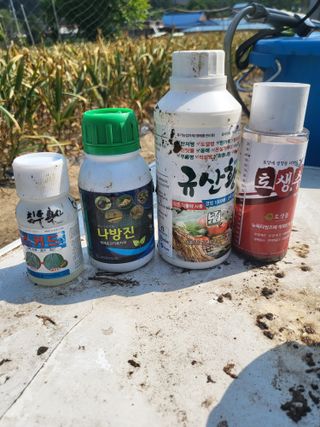 전선경님의 농부님! 어떤 농약 쓰세요? · 참여 작성글 사진