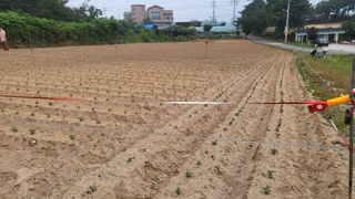 형설농원 정순정님의 콩 · 자유게시판 작성글 사진