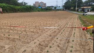 형설농원 정순정님의 콩 · 자유게시판 작성글 사진