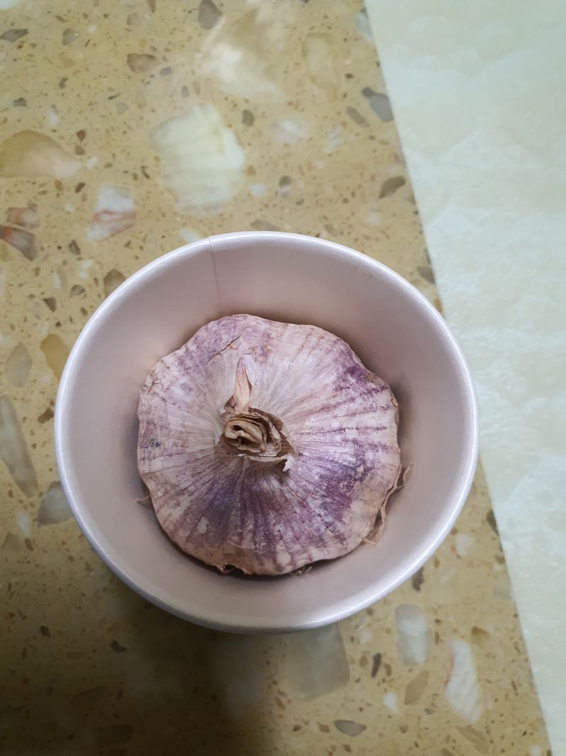 김영복님의 장터 판매 상품 [대서마늘] 첨부 사진