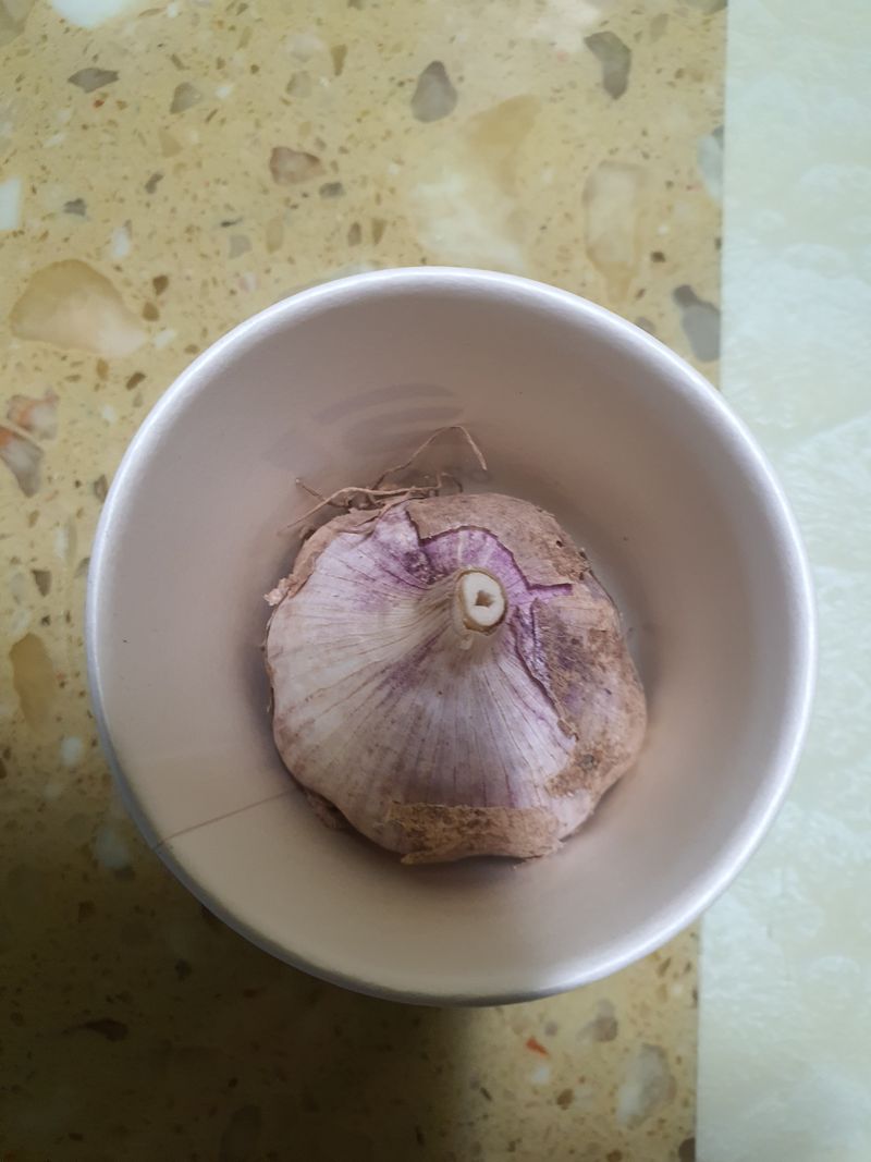 김영복님의 장터 판매 상품 [대서마늘] 첨부 사진