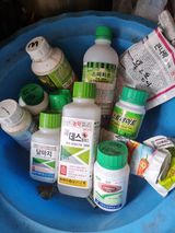 팜모닝 농부님! 어떤 농약 쓰세요?·참여 게시글 이미지