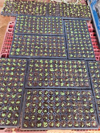 물안개님의 자유주제 · 자유게시판 작성글 사진