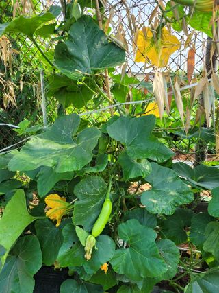 물안개님의 자유주제 · 자유게시판 작성글 사진