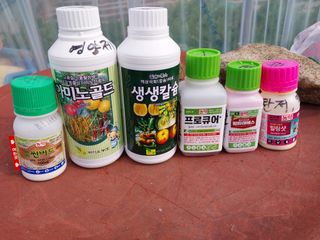 5월출석왕이레요님의 농부님! 어떤 농약 쓰세요? · 참여 작성글 사진