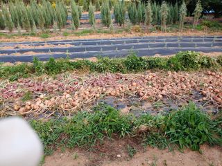 블루아이스님의 자유주제 · 자유게시판 작성글 사진