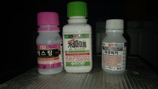 이병관님의 포도 · 자유게시판 작성글 사진