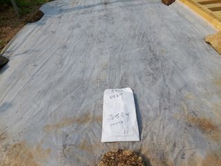 정규상님의 들깨 · 자유게시판 작성글 사진