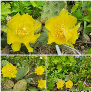 안숙현님의 기타작물 · 자유게시판 작성글 사진