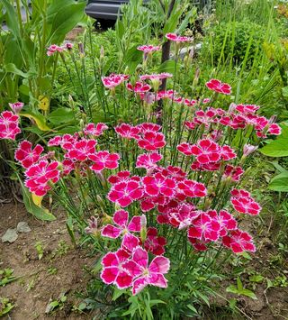 안숙현님의 기타작물 · 자유게시판 작성글 사진