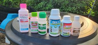 이인배님의 고추 · 병해충상담 작성글 사진