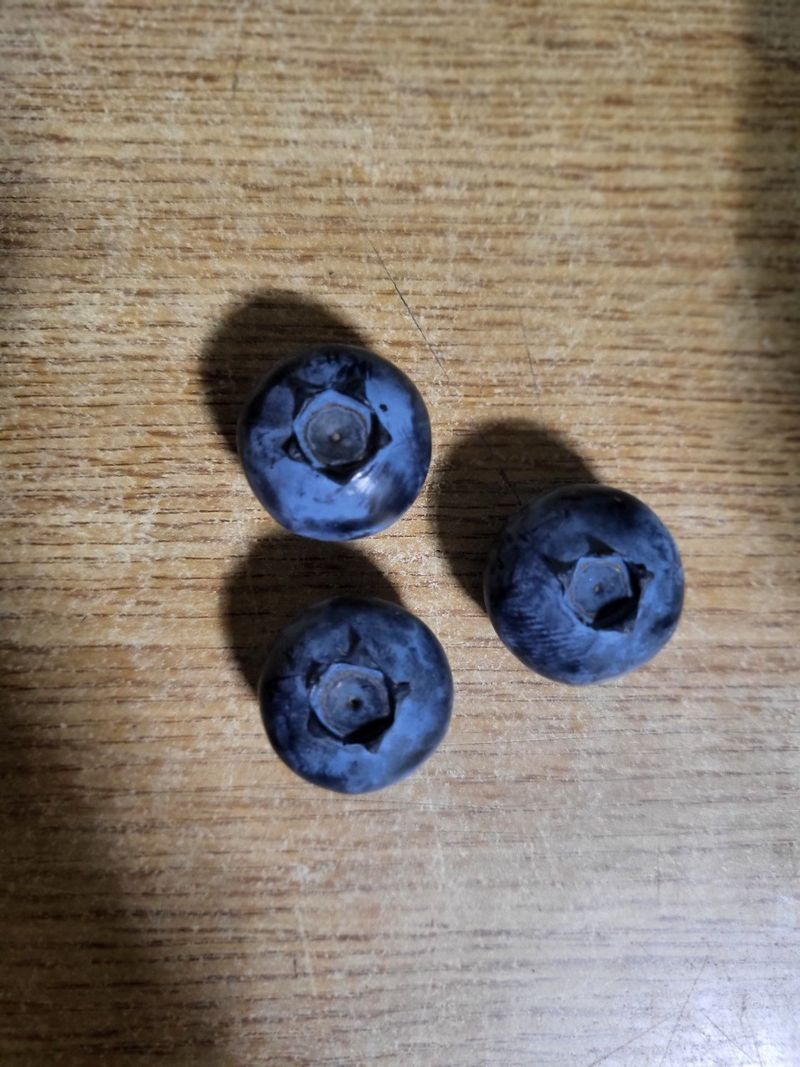 베리사랑득이농산님의 장터 판매 상품 [블루베리 1키로] 첨부 사진