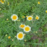 팜모닝 자유주제·자유게시판 게시글 이미지