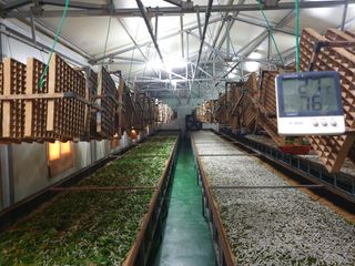 홍박농원님의 자유주제 · 자유게시판 작성글 사진