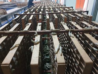 홍박농원님의 자유주제 · 자유게시판 작성글 사진