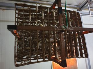 홍박농원님의 자유주제 · 자유게시판 작성글 사진