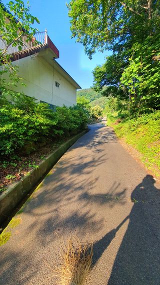 박¿일님의 자유주제 · 자유게시판 작성글 사진