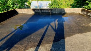 박¿일님의 자유주제 · 자유게시판 작성글 사진