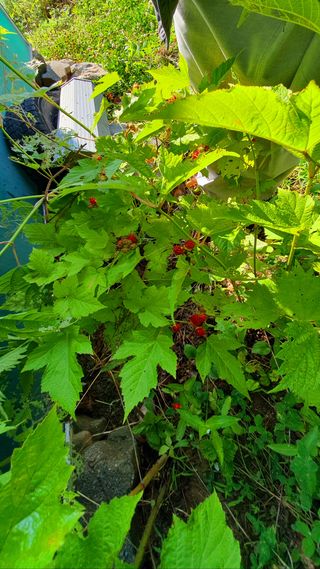 박¿일님의 자유주제 · 자유게시판 작성글 사진