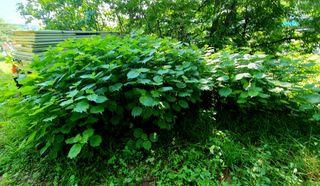 박¿일님의 자유주제 · 자유게시판 작성글 사진