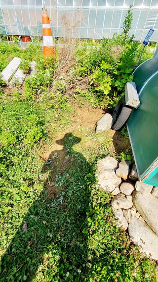 박¿일님의 자유주제 · 자유게시판 작성글 사진