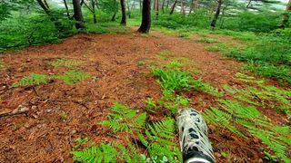 박¿일님의 자유주제 · 자유게시판 작성글 사진