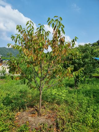 욱정호님의 자유주제 · 자유게시판 작성글 사진