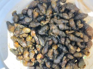 약초꾼님의 우리동네 · 동네자랑 작성글 사진