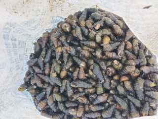 약초꾼님의 우리동네 · 동네자랑 작성글 사진