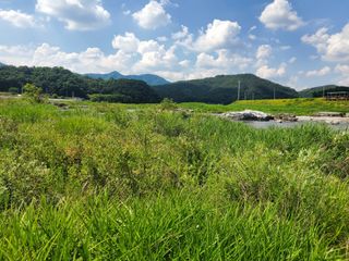 약초꾼님의 우리동네 · 동네자랑 작성글 사진