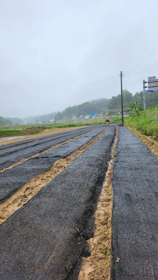 천종현님의 기타작물 · 자유게시판 작성글 사진