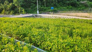 천종현님의 기타작물 · 자유게시판 작성글 사진