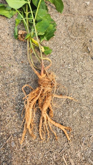 천종현님의 기타작물 · 자유게시판 작성글 사진