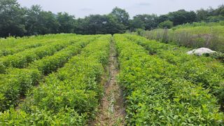 천종현님의 기타작물 · 자유게시판 작성글 사진