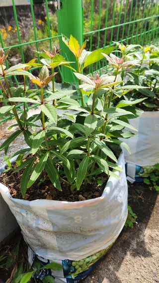 천종현님의 기타작물 · 자유게시판 작성글 사진