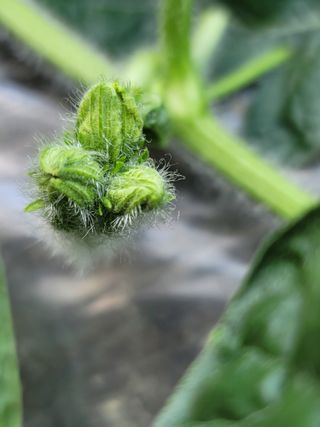 빛그린 김용화님의 자유주제 · 자유게시판 작성글 사진