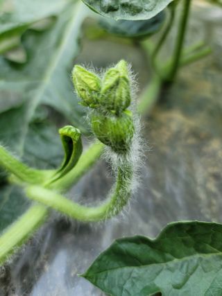 빛그린 김용화님의 자유주제 · 자유게시판 작성글 사진