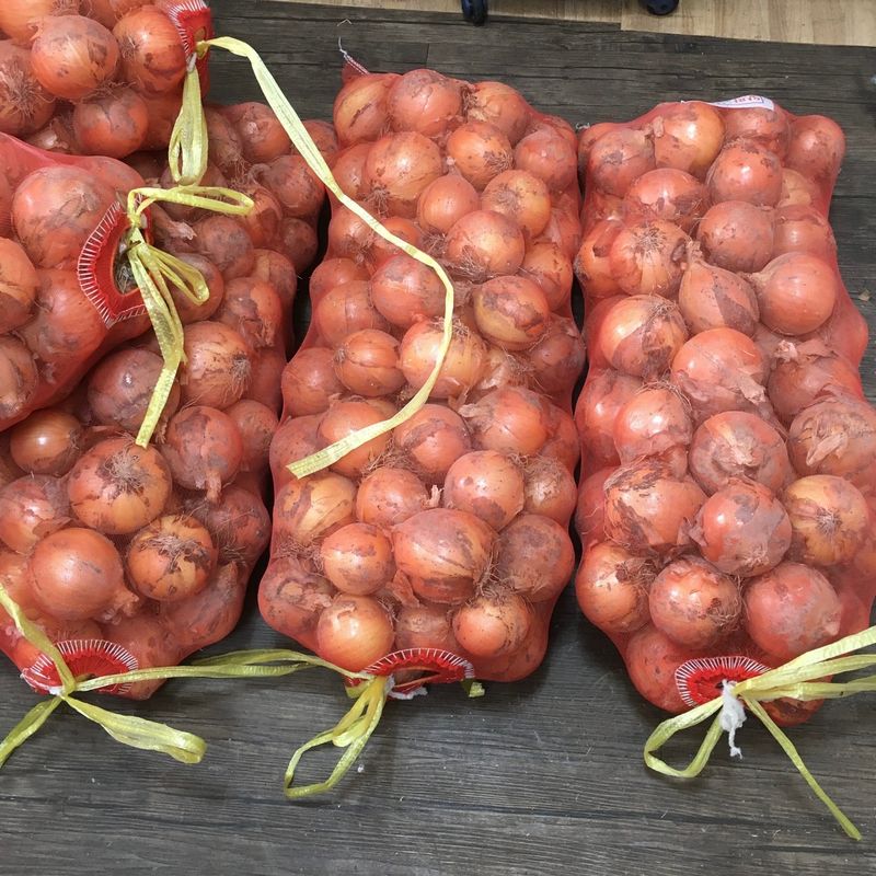 장터 상품 [양파15kg 배송비 무료  판매완료] 썸네일