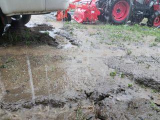 최영희님의 자유주제 · 자유게시판 작성글 사진