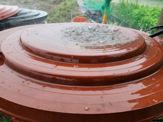 최영희님의 자유주제 · 자유게시판 작성글 사진