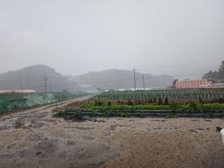 최영희님의 자유주제 · 자유게시판 작성글 사진