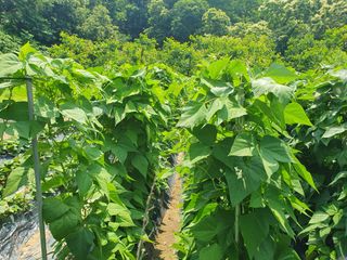 최유순 님의 자유주제 · 자유게시판 작성글 사진