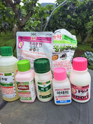 정문용님의 농부님! 어떤 농약 쓰세요? · 참여 작성글 사진