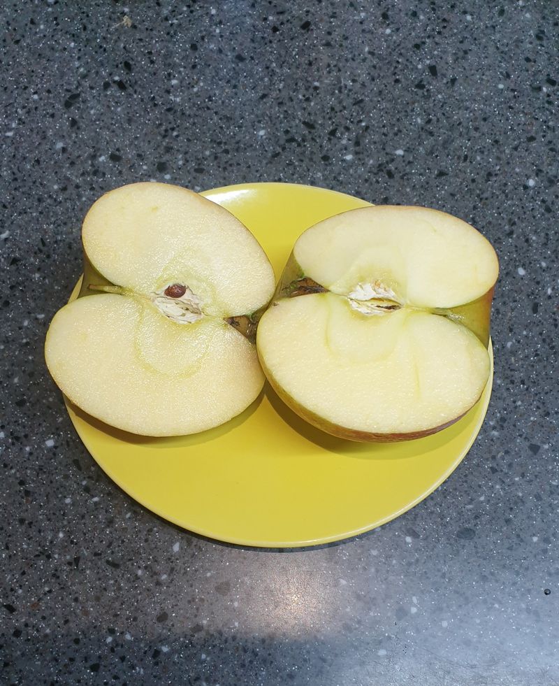 호랑이와인성이님의 장터 판매 상품 [🍎  🍏 사과즙50포] 첨부 사진