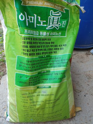 민철기님의 포도 · 영농일지 작성글 사진