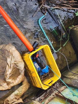 김영준님의 벼 · 자유게시판 작성글 사진