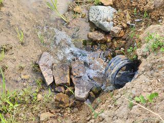 김영준님의 벼 · 자유게시판 작성글 사진