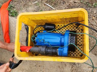 김영준님의 벼 · 자유게시판 작성글 사진