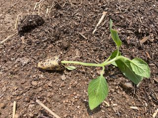 도곡님의 기타작물 · 자유게시판 작성글 사진