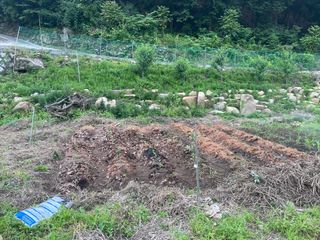 도곡님의 기타작물 · 자유게시판 작성글 사진